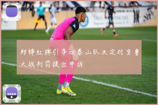 郑铮红牌引争议泰山队决定对京鲁大战判罚提出申诉