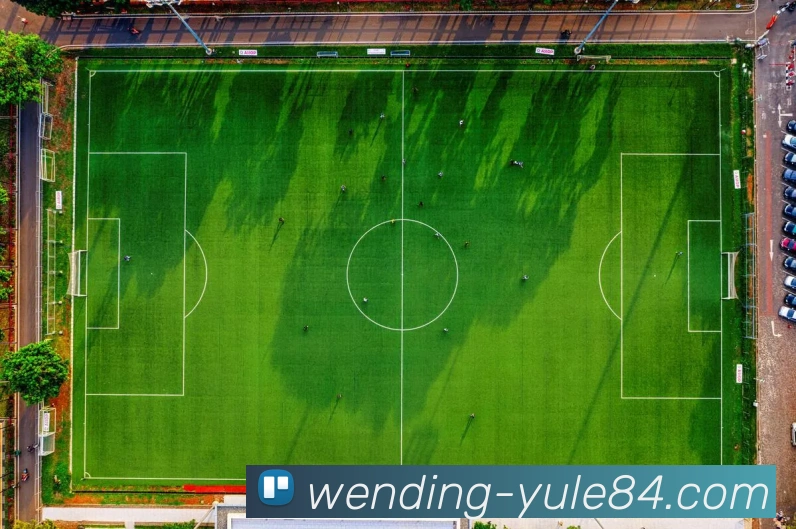 互动解说服务